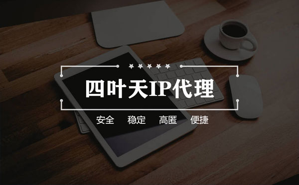 【张家口代理IP】如何快速搭建代理IP？怎么检查代理的效果？